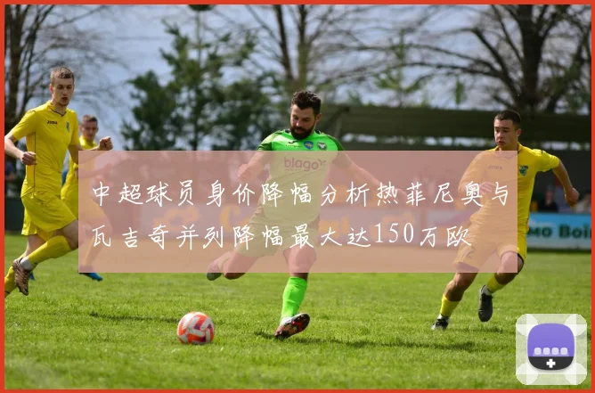 中超球员身价降幅分析热菲尼奥与瓦吉奇并列降幅最大达150万欧
